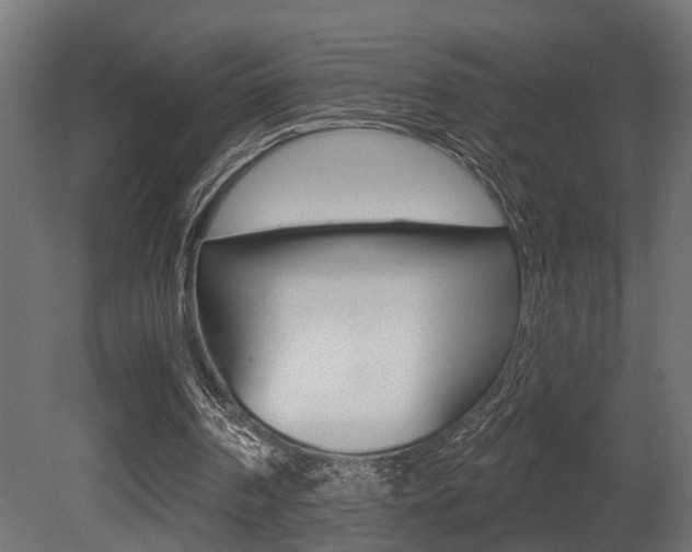 X0000081460194200701121050