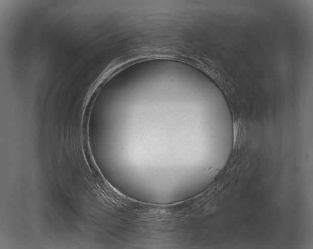 X0000081460195200701121050