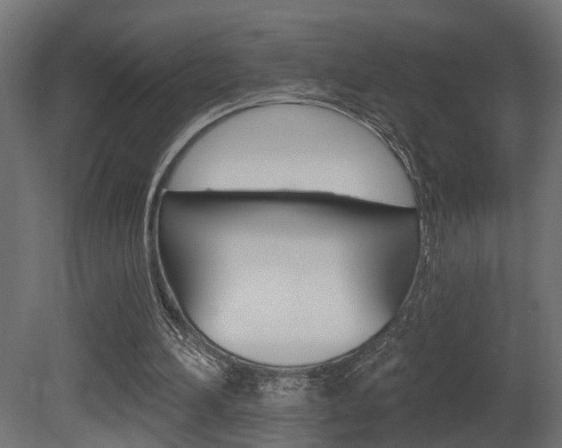 X0000081460196200701121050