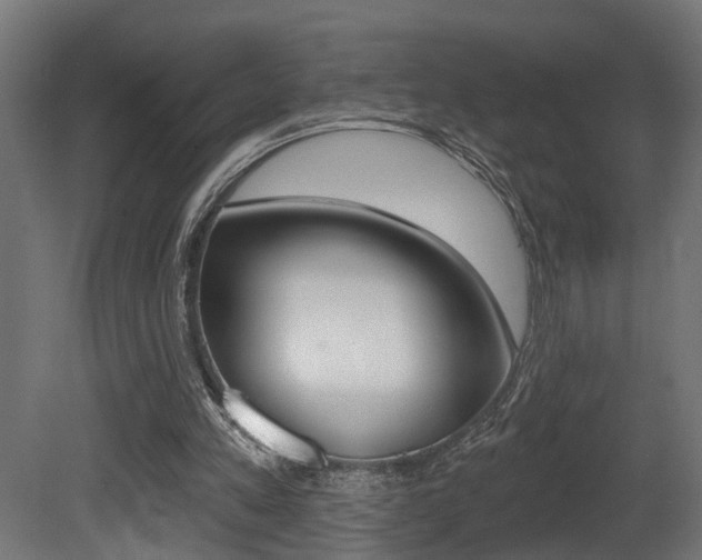 X0000081460197200701121050