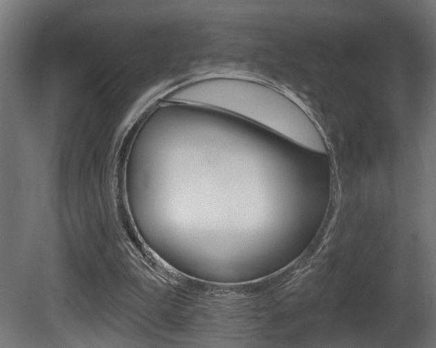 X0000081460199200701121050