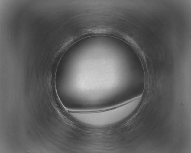 X0000081460201200701121050