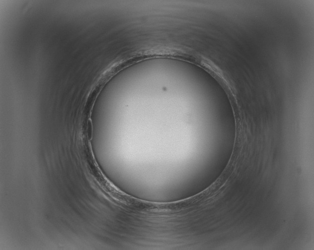 X0000081460203200701121050