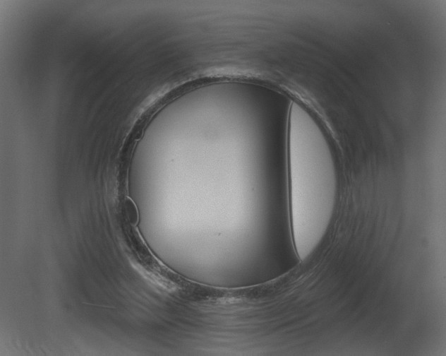 X0000081460204200701121050