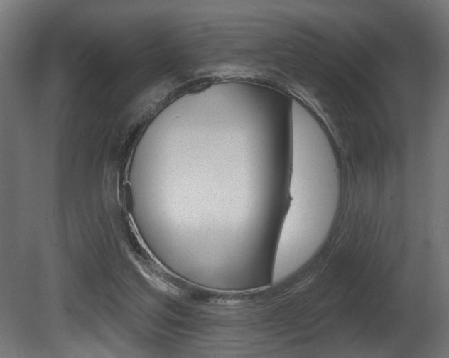 X0000081460205200701121050