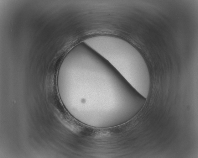 X0000081460206200701121050