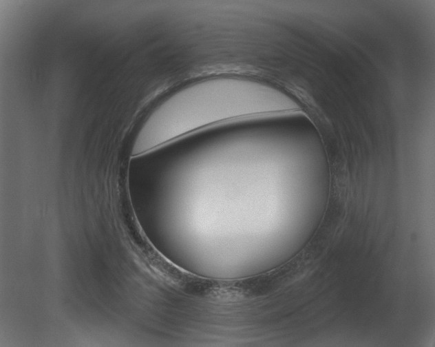 X0000081460207200701121050