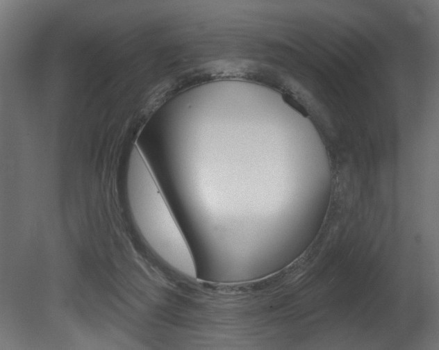 X0000081460209200701121050