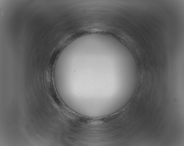 X0000081460210200701121050