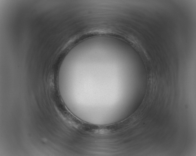 X0000081460212200701121050