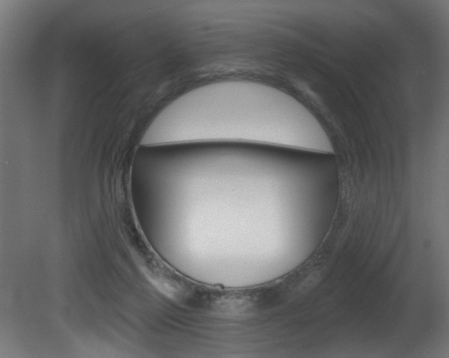 X0000081460213200701121050