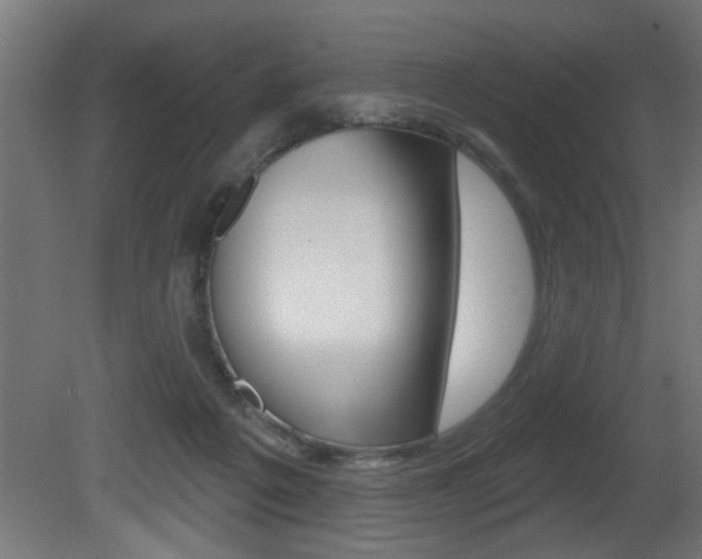 X0000081460217200701121050