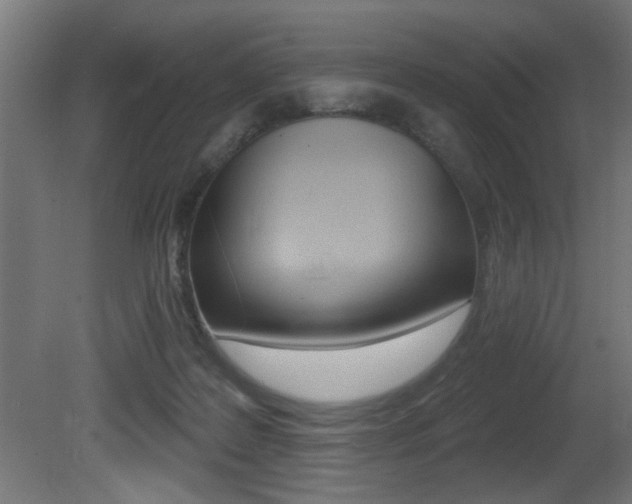 X0000081460219200701121050