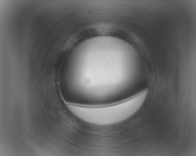X0000081460221200701121050