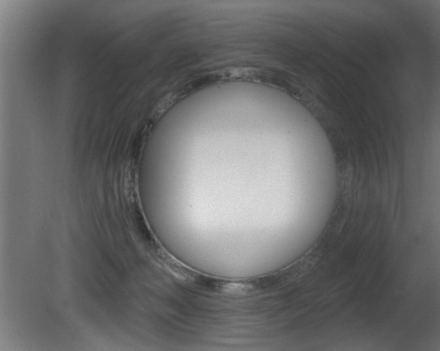 X0000081460222200701121050