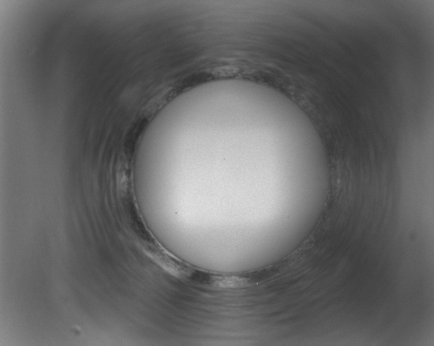 X0000081460226200701121050