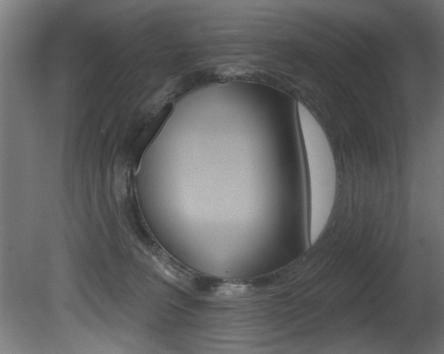 X0000081460227200701121050