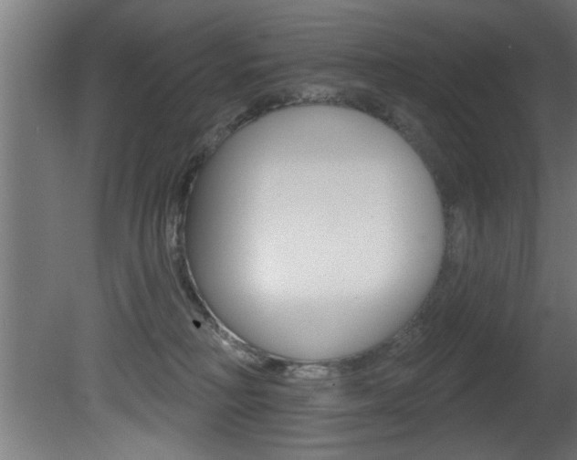 X0000081460230200701121050