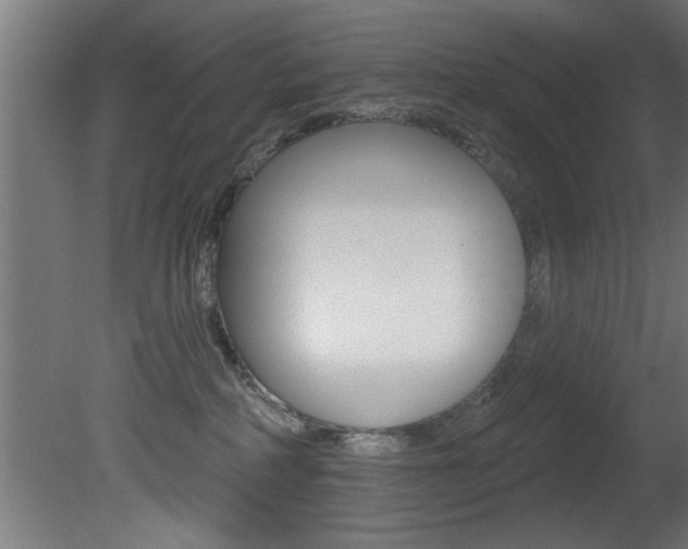 X0000081460234200701121050