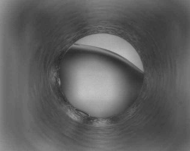 X0000081460235200701121050