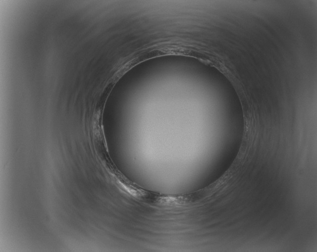 X0000081460239200701121050