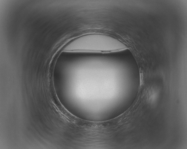 X0000081460243200701121049