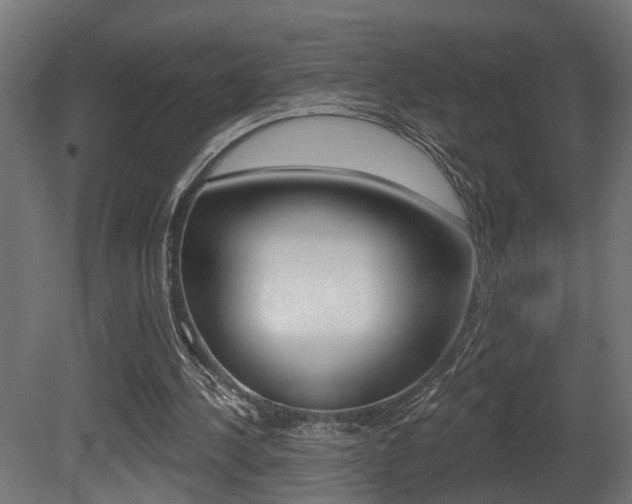 X0000081460244200701121049