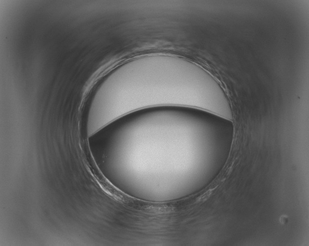 X0000081460245200701121049