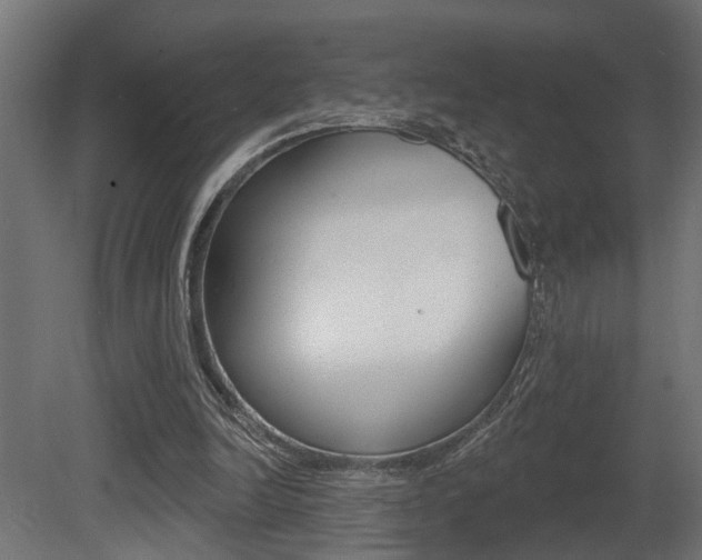 X0000081460246200701121049