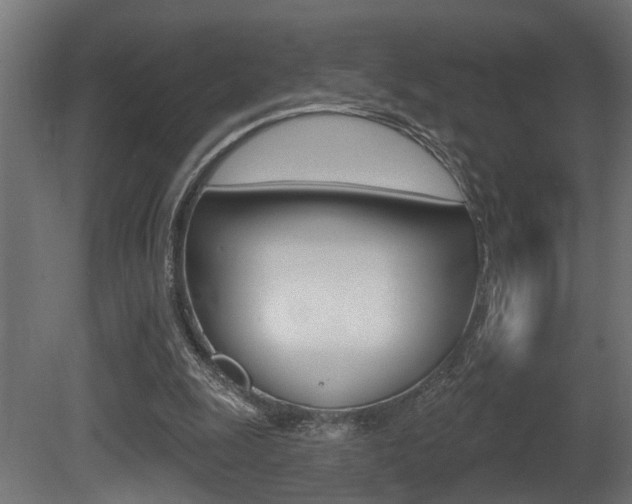 X0000081460247200701121049