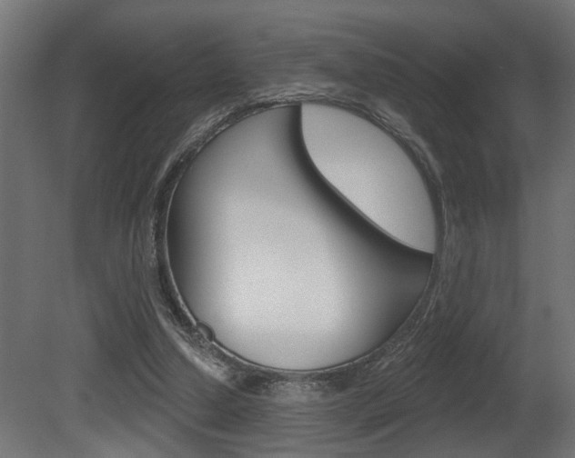 X0000081460250200701121049