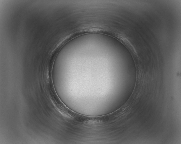 X0000081460251200701121049