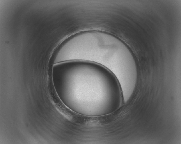 X0000081460252200701121049