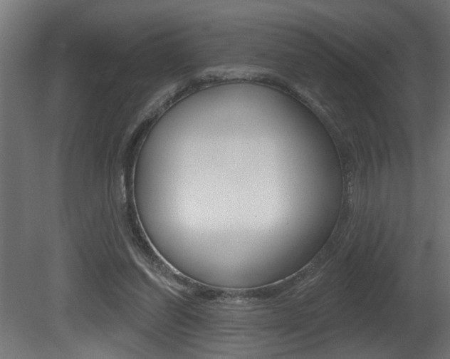 X0000081460254200701121049