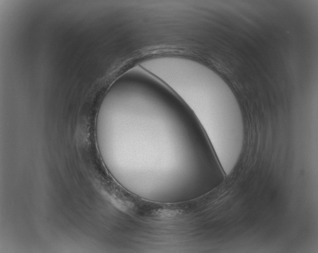 X0000081460255200701121049