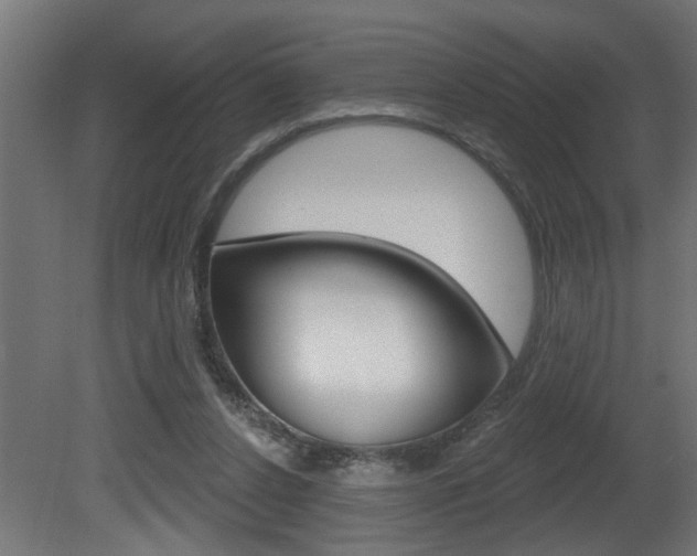 X0000081460256200701121049