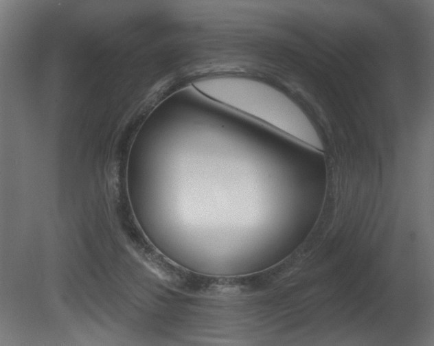X0000081460260200701121049