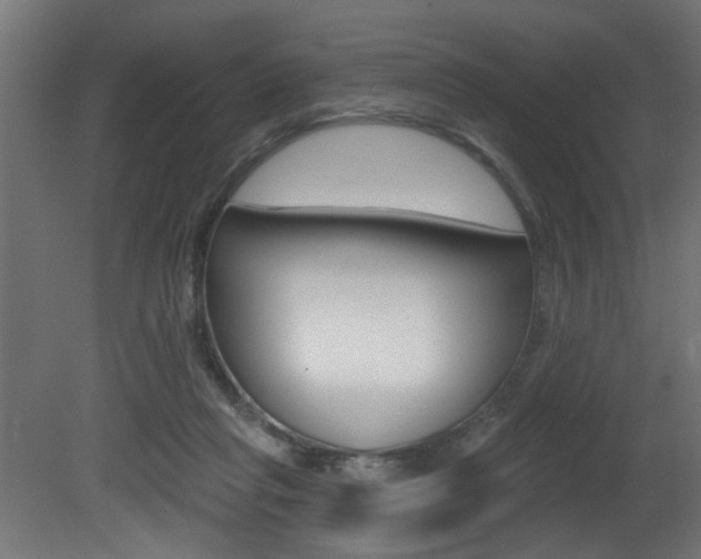 X0000081460261200701121049