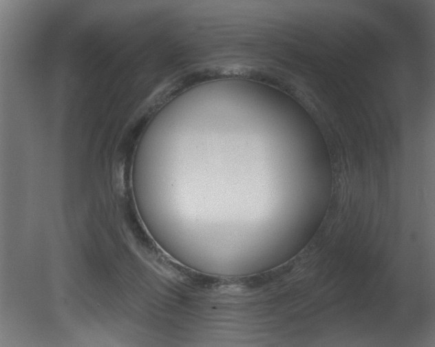 X0000081460262200701121049