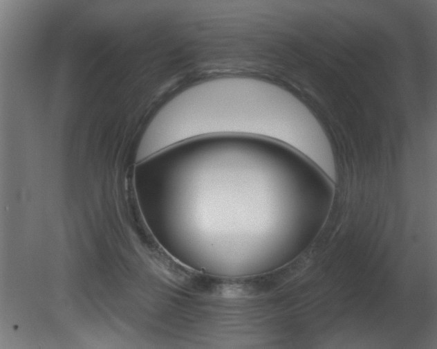 X0000081460264200701121049