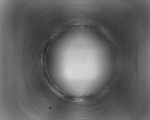 X0000081460265200701121049