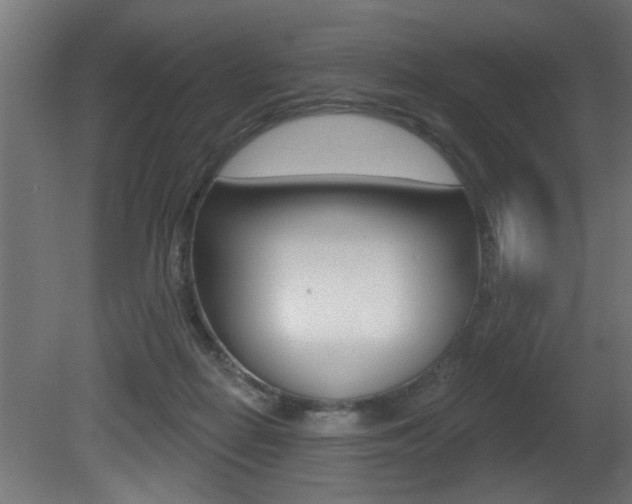 X0000081460266200701121049
