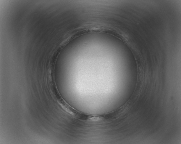 X0000081460269200701121049