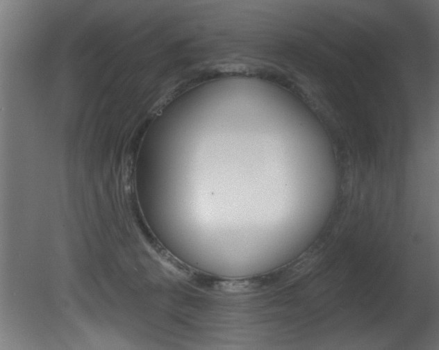 X0000081460273200701121049