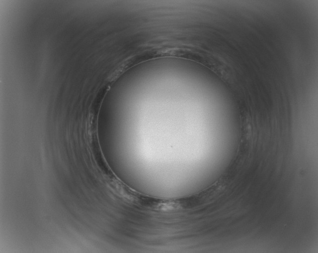 X0000081460275200701121049