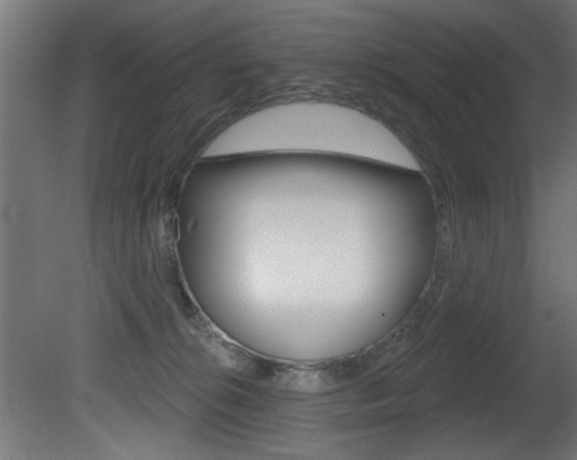 X0000081460276200701121049