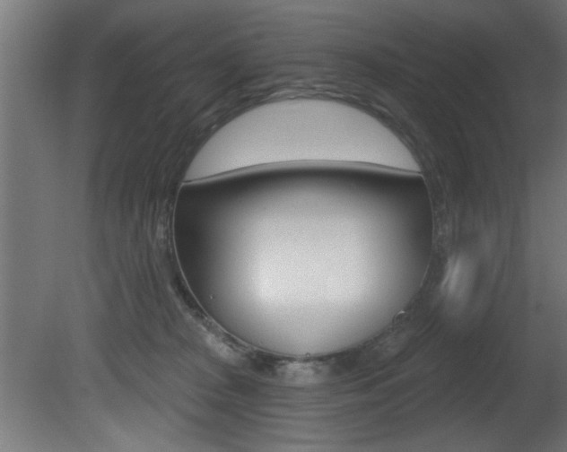 X0000081460277200701121049