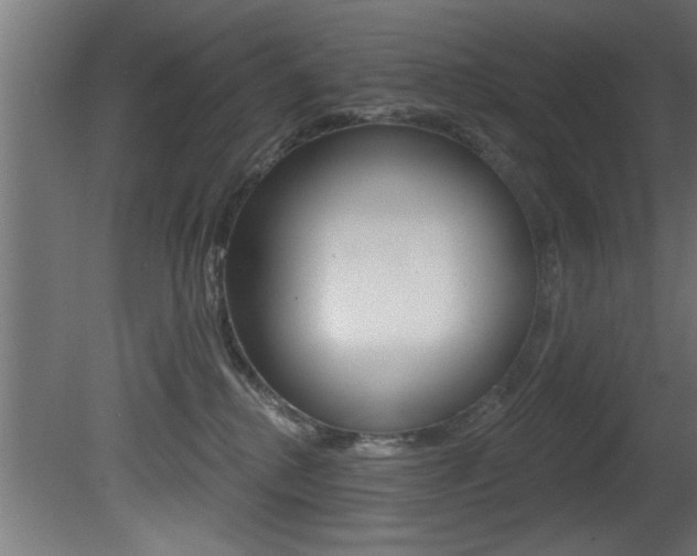 X0000081460280200701121049