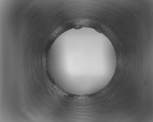 X0000081460282200701121049