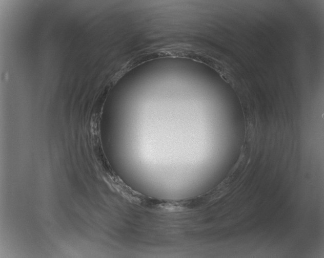 X0000081460284200701121049